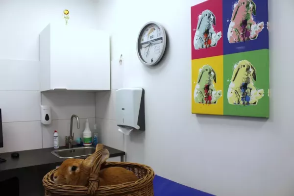 przychodnia-weterynaryjna-zwierzak-13