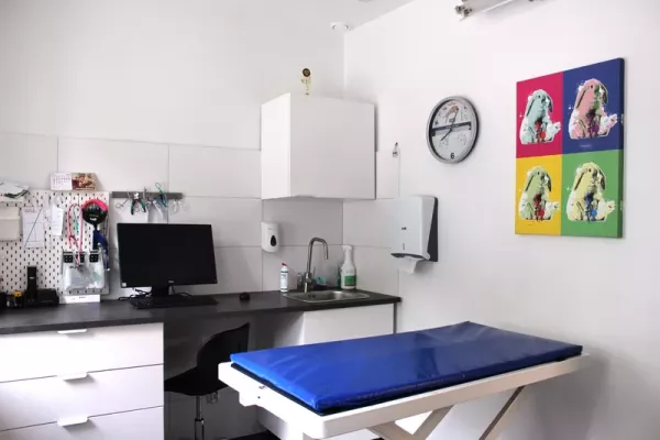 przychodnia-weterynaryjna-zwierzak-2