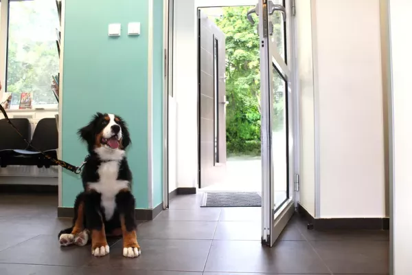 przychodnia-weterynaryjna-zwierzak-5